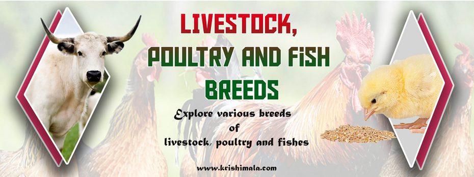 Livestock_Poultry_and_Fish_Breeds_Catalogue_Final_New.jpg