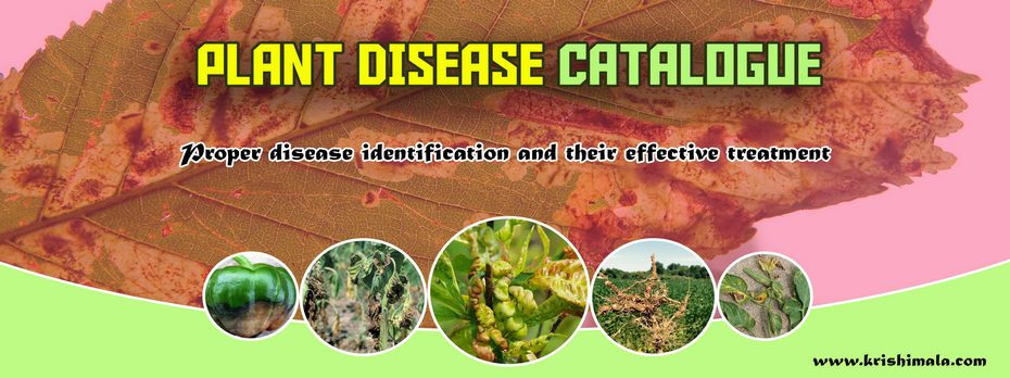 Plant_Diseases_Catalogue_Final_New.jpg