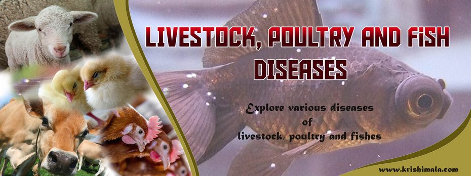Livestock_Poultry_and_Fish_Diseases_Catalogue_Final_New.jpg